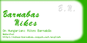 barnabas mikes business card