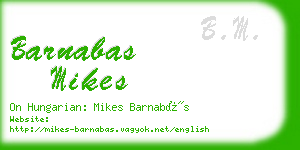 barnabas mikes business card